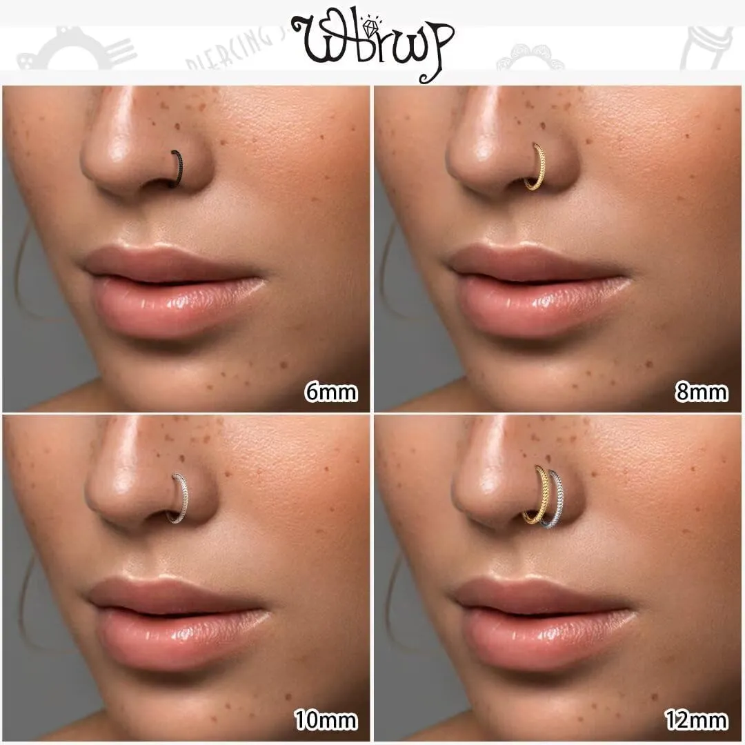 20G 18G 16G 14G Hinged Nose Rings Hoops: 2 Pcs Surgical Steel Seamless Twisted CZ Nose Rings Clicker for Septum Lip Piercing Cartilage Helix Tragus Conch Rook Daith Lobe Earrings 6mm 7mm 8mm 9mm 10mm 12mm Body Piercing Jewelry
