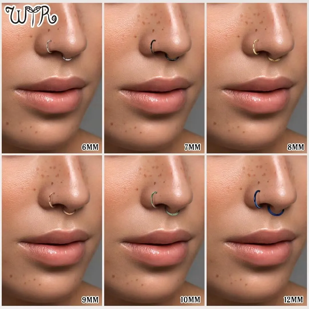 20G 18G 16G 14G Hoop Nose Rings: 7mm 8mm 9mm 10mm 12mm 2 Pcs Surgical Steel Septum Rings Clicker for Lip Cartilage Helix Tragus Conch Rook Daith Lobe Seamless Hoop Unisex Hinged Body Piercing Jewelry