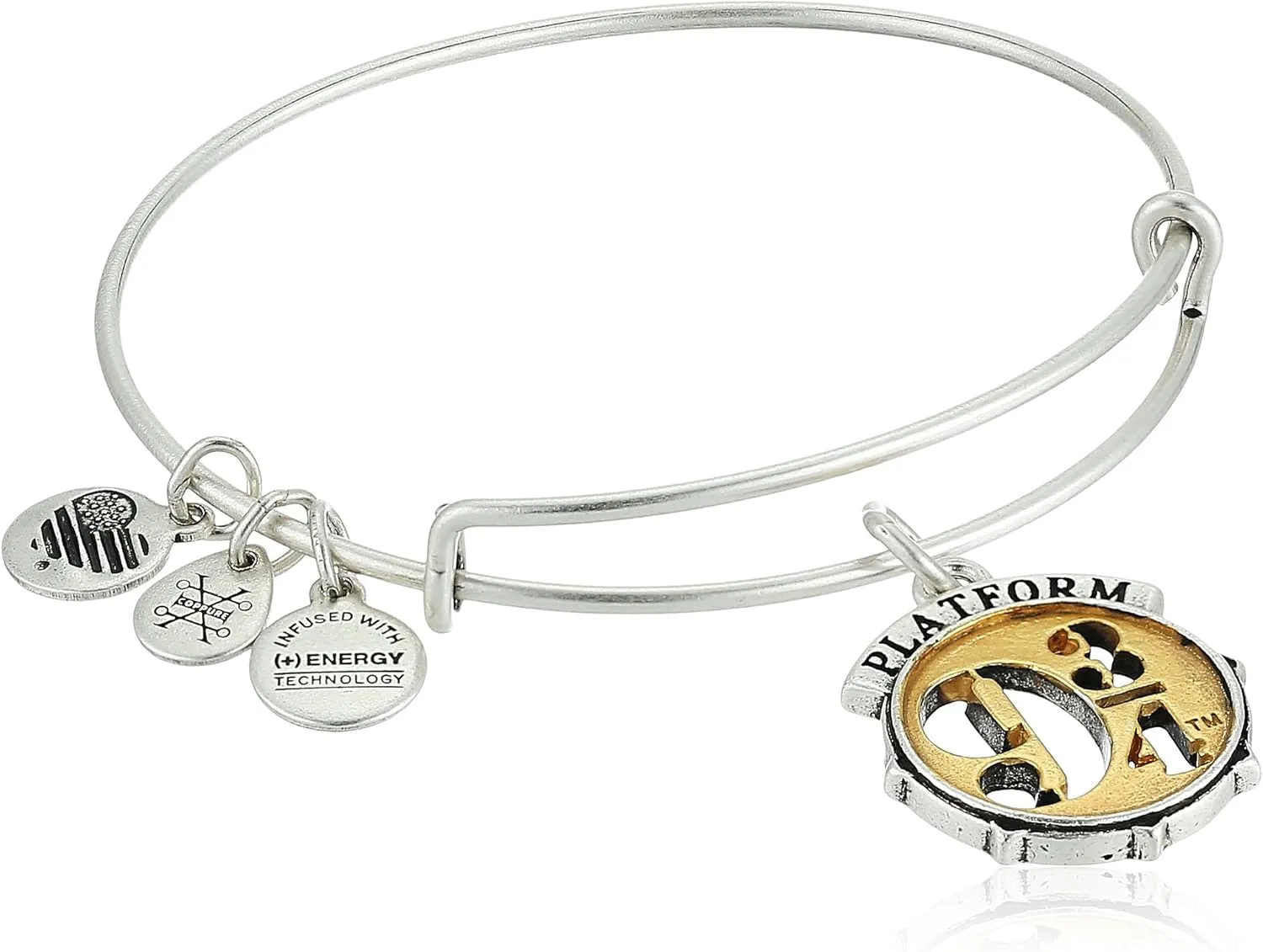 Alex and Ani Harry Potter Platform Two Tone Bangle Bracelet