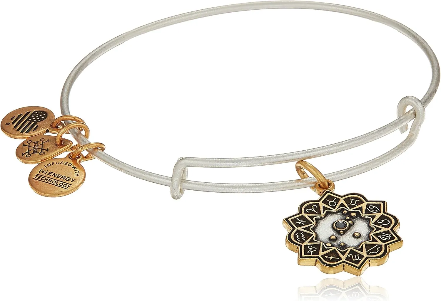 Alex and Ani Women's Taurus Two Tone Bangle Bracelet