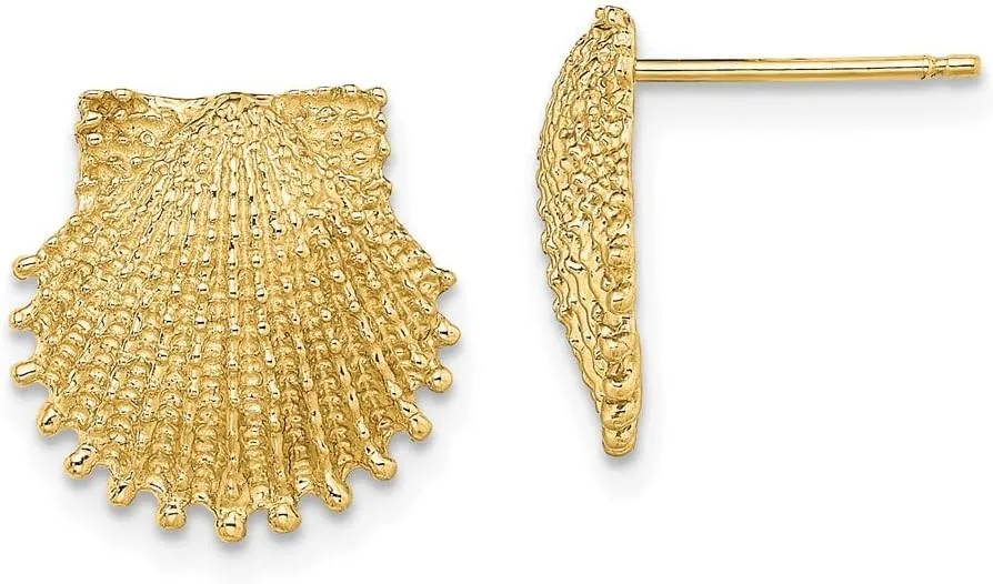 Real 14k Yellow Gold Beaded Scallop Shell Post Studs Earrings 13.4mm