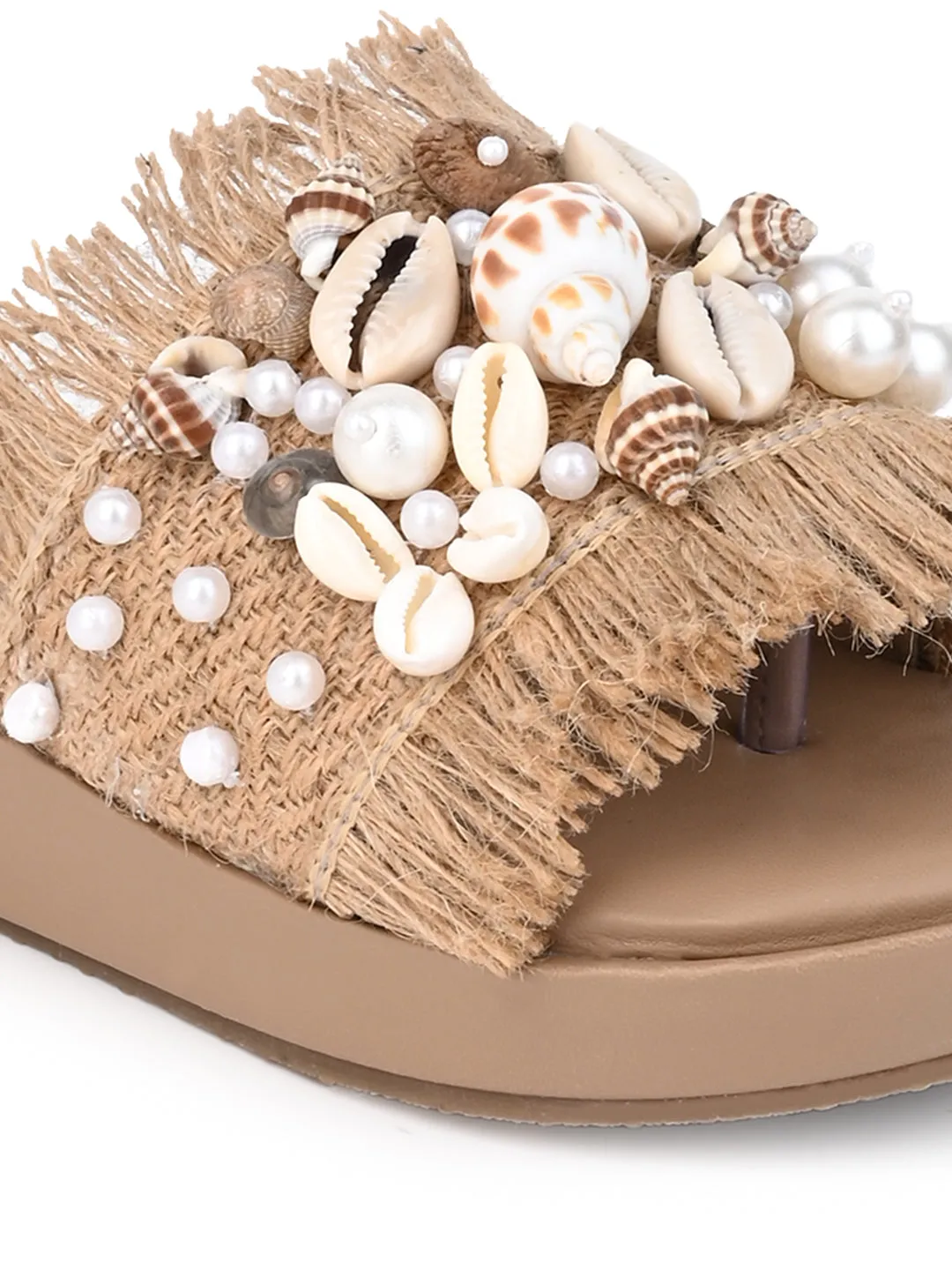 Shell Seeker Slides