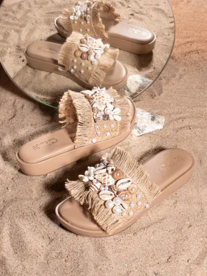 Shell Seeker Slides