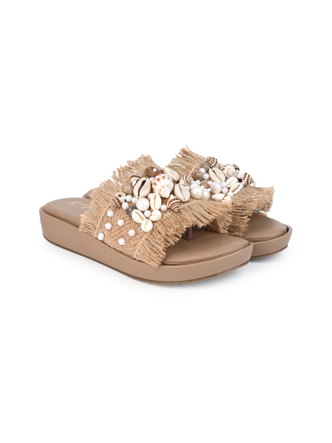 Shell Seeker Slides