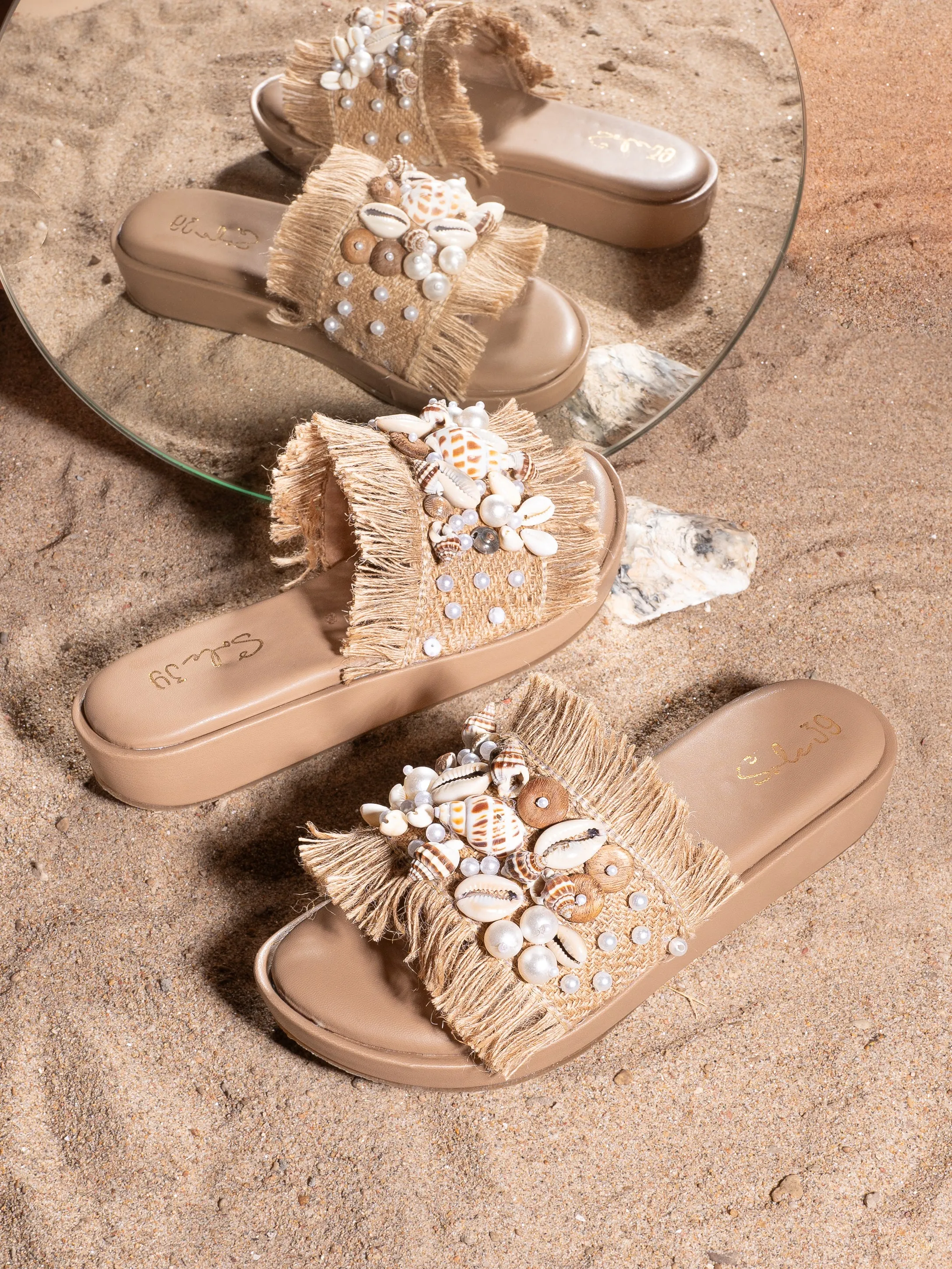 Shell Seeker Slides