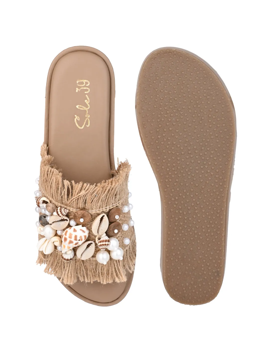 Shell Seeker Slides